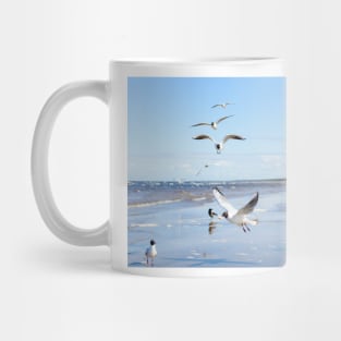 Flock of seagulls flying above the water Mug